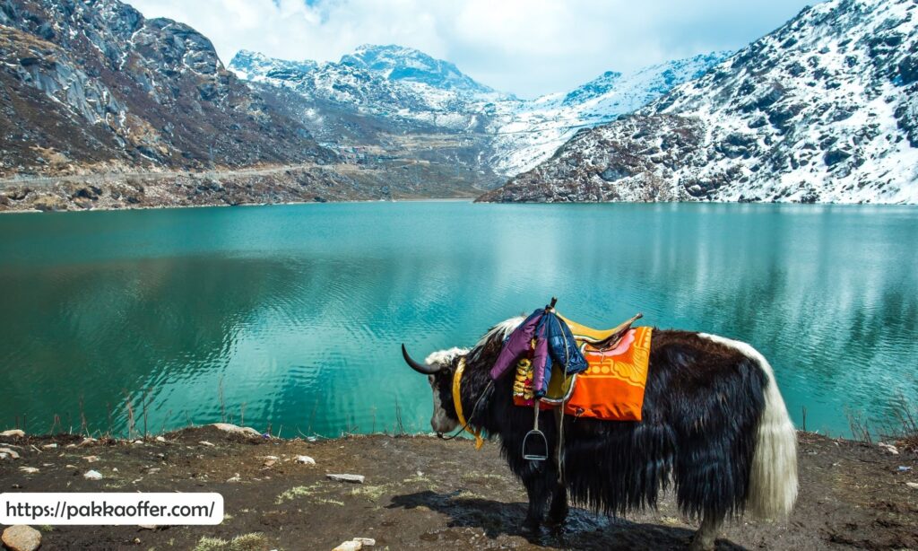 Gangtok, Sikkim (pakkaoffer)